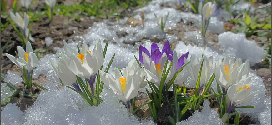 Весна обрушится на Россию: погода в марте и апреле 2023 года в Москве, Санкт-Петербурге, Новосибирске и Красноярске – где пройдут ледяные дожди с градом