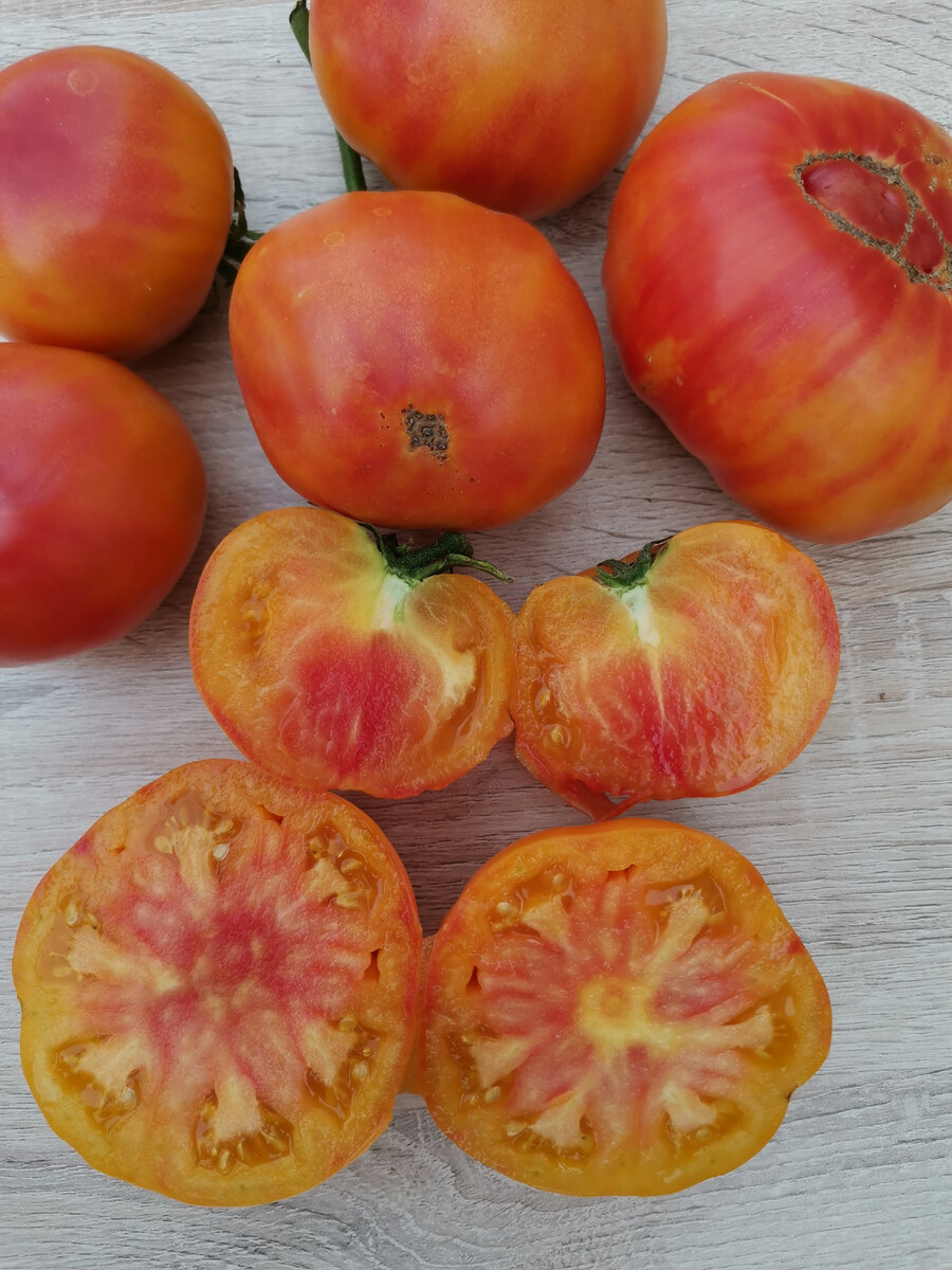 Мои любимые томаты биколоры: урожайные и вкусные.