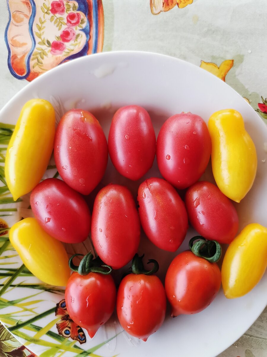 Топ 5 самых вкусных томатов черри.