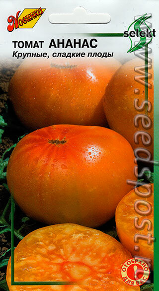 Что такое томаты БИФ? Самые популярные и неприхотливые сорта помидоров-гигантов