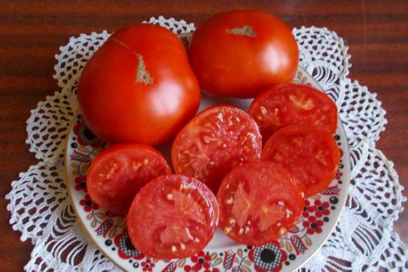 Чем хорош томат «Монгольский карлик» и почему он пользуется такой бешеной популярностью?