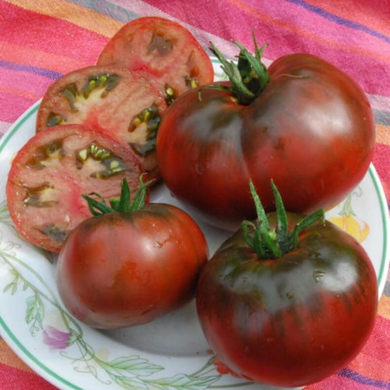 Лучшие сорта черных помидоров: сахаристые, мясистые, неприхотливые