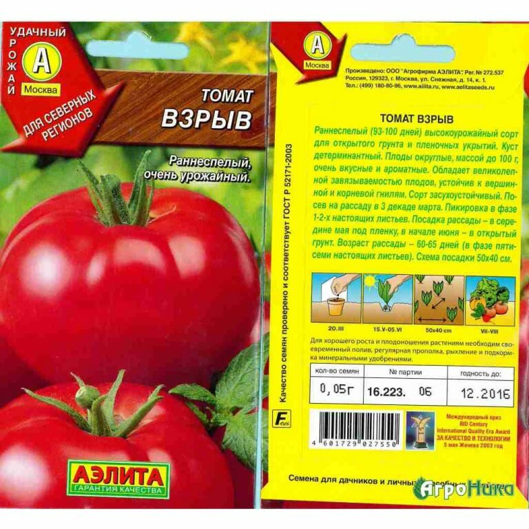 Раннеспелые помидоры для выращивания в открытом грунте: лучшие сорта для средней полосы России