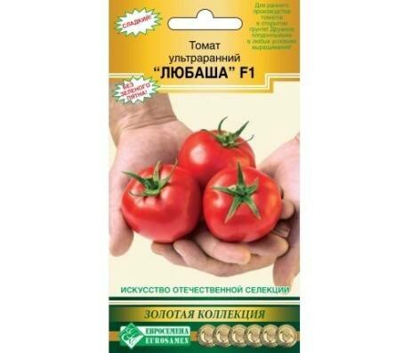 Раннеспелые помидоры для выращивания в открытом грунте: лучшие сорта для средней полосы России