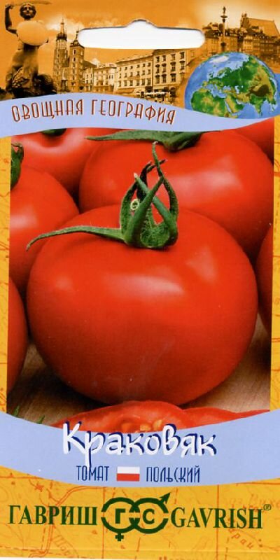 Лучшие сорта томатов, не требующих пасынкования: подбираем семена на будущий сезон