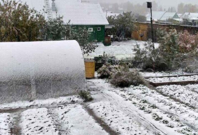 Какая будет зима в этом году? Погодные приметы на Казанскую