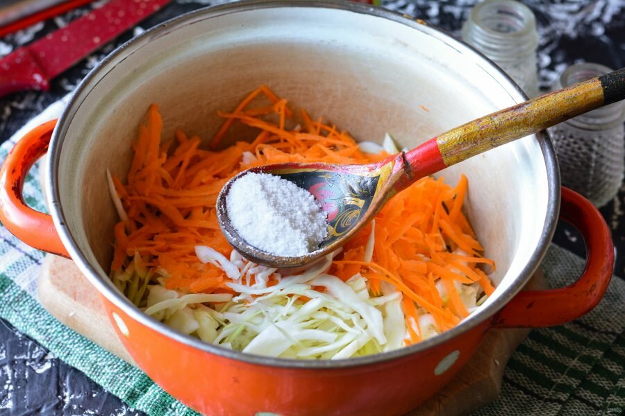 Только капуста, морковь и соль: квасим капусту по классическому рецепту
