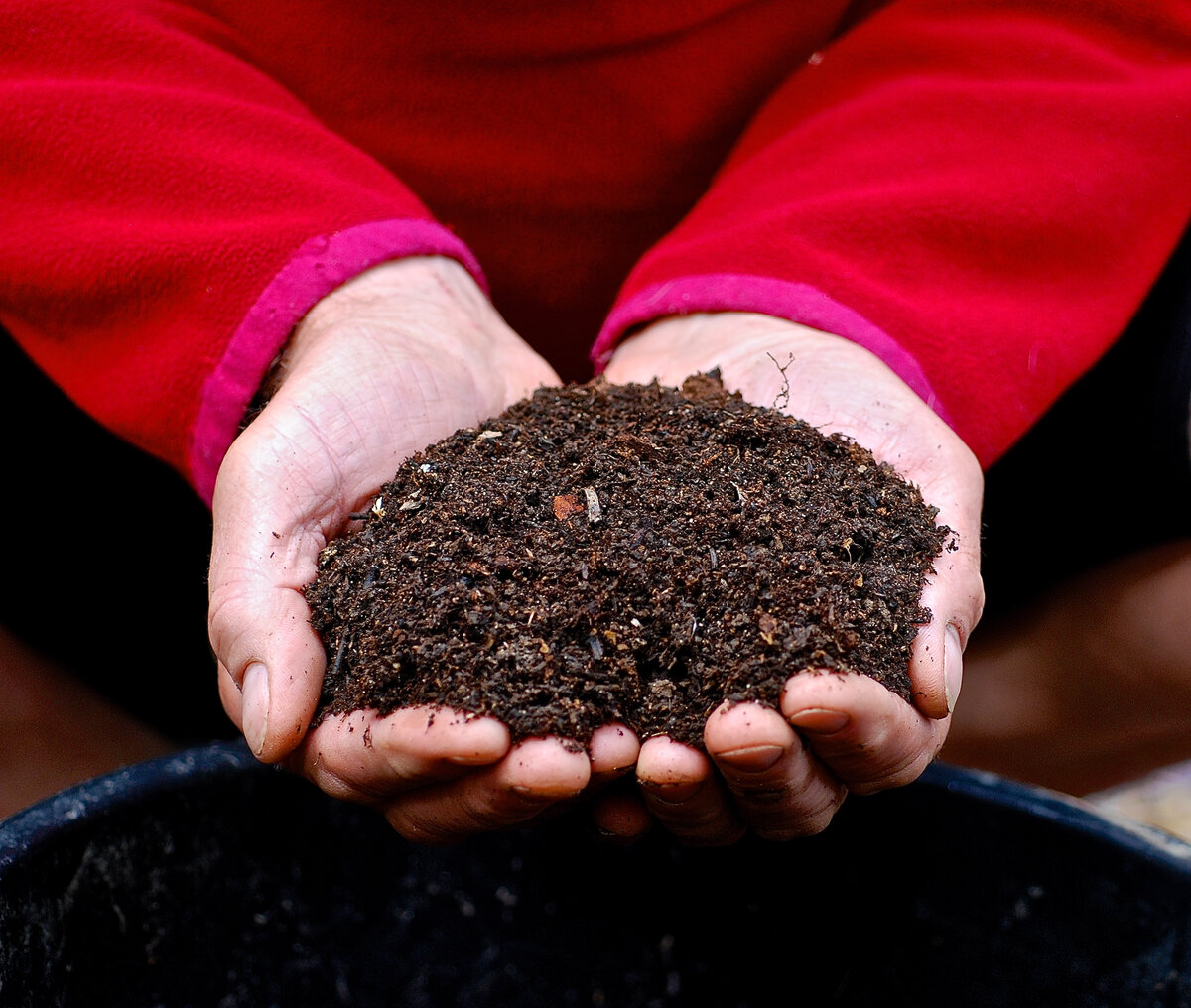 Осенние удобрения: что и когда вносить в почву для щедрых урожаев на будущий год?