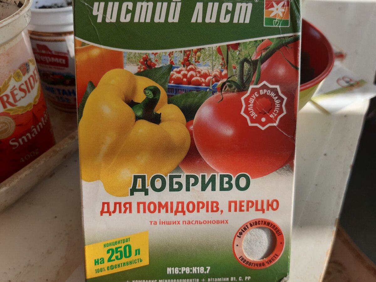Выращиваем и подкармливаем рассаду томатов правильно