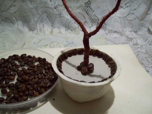 как сделать кофейное дерево