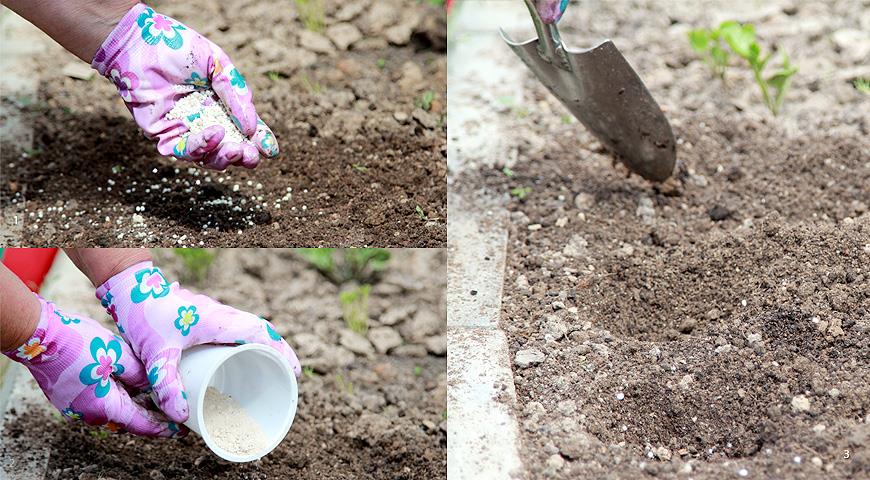 подготовка почвы к высадке рассады