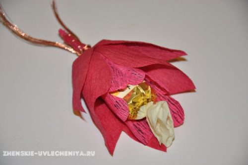 buket-orhideia-iz-konfet-gofrirovannoi-bumagi-master-class-23